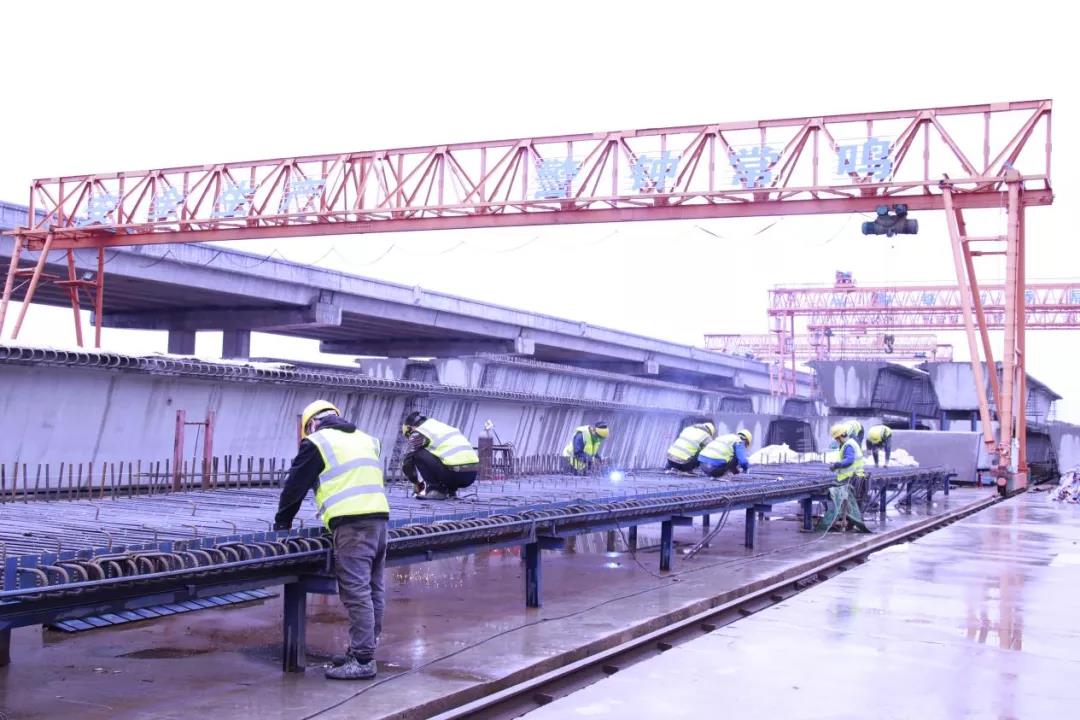 1644823646561995.jpg 1644823646561995.jpg